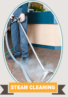 Carpet Steam Cleaning